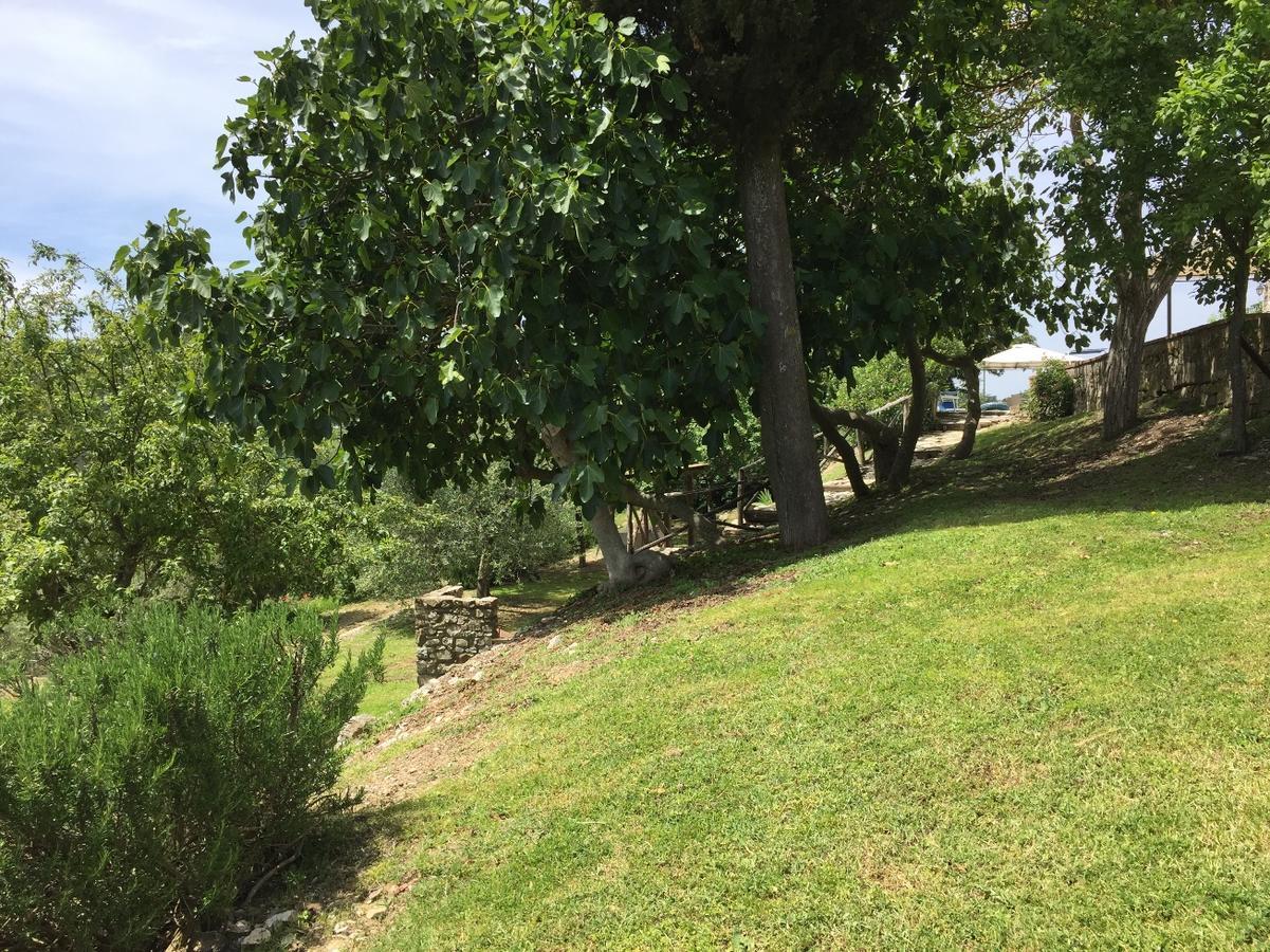 Collelungo Guest House Castellina in Chianti Exterior foto